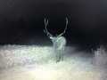 Black River Falls Land Real Estate