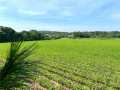Black River Falls Land Real Estate