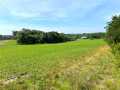 Black River Falls Land Real Estate