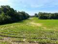 Black River Falls Land Real Estate