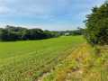 Black River Falls Land Real Estate