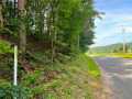 Black River Falls Land Real Estate