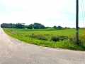 Black River Falls Land Real Estate