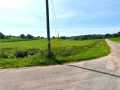 Black River Falls Land Real Estate
