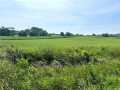 Black River Falls Land Real Estate