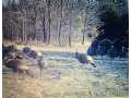 Black River Falls Land Real Estate