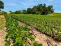 Black River Falls Land Real Estate