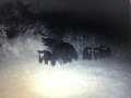 Black River Falls Land Real Estate