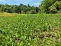 Black River Falls Land Real Estate