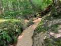 Black River Falls Land Real Estate