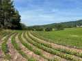 Black River Falls Land Real Estate