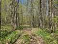 Property Photo 47