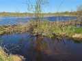 Property Photo 50