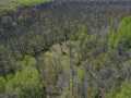 Property Photo 56