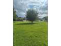 Rice Lake Land Real Estate