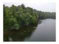 Stone Lake Land Real Estate
