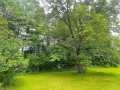 Chippewa Falls Residential Real Estate