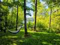 Spooner Residential Real Estate