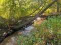 Property Photo 43