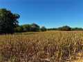 Property Photo 50