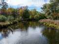 Gordon Residential Real Estate