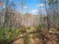 Cumberland Residential Real Estate