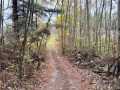 Cumberland Land Real Estate