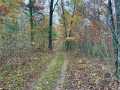 Cumberland Land Real Estate