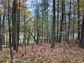 Cumberland Land Real Estate