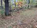 Cumberland Land Real Estate
