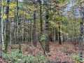 Cumberland Land Real Estate