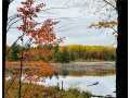Cumberland Land Real Estate