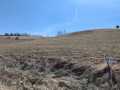 Mondovi Land Real Estate