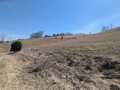 Mondovi Land Real Estate