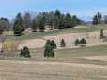 Mondovi Land Real Estate