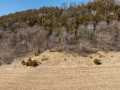 Fountain City Land Real Estate