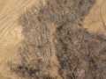 Fountain City Land Real Estate