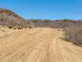 Fountain City Land Real Estate