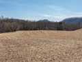 Fountain City Land Real Estate
