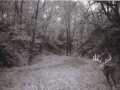 Fountain City Land Real Estate