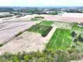 Hixton Land Real Estate