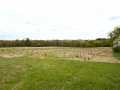 Hixton Land Real Estate