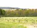 Hixton Land Real Estate