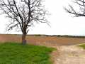 Hixton Land Real Estate