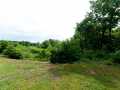 Weyerhaeuser Residential Real Estate