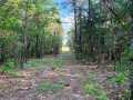 Augusta Land Real Estate