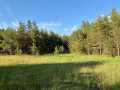 Augusta Land Real Estate