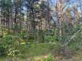 Augusta Land Real Estate