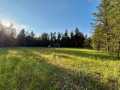 Augusta Land Real Estate