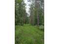 Neillsville Land Real Estate